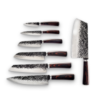 Professional Stainless Steel Kitchen Knife Set 2020 Hot Sales chefs knife