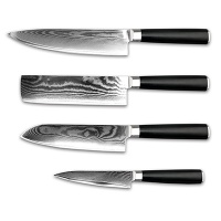Hot Sales Professinal stainless Steel Kitchen Knife Set 4pcs knives